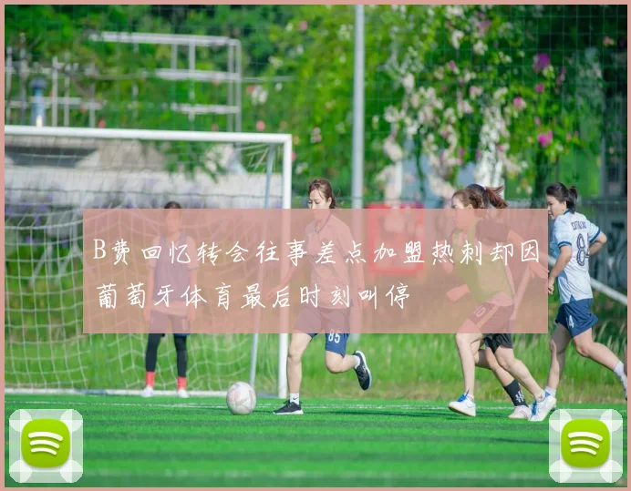 B费回忆转会往事差点加盟热刺却因葡萄牙体育最后时刻叫停